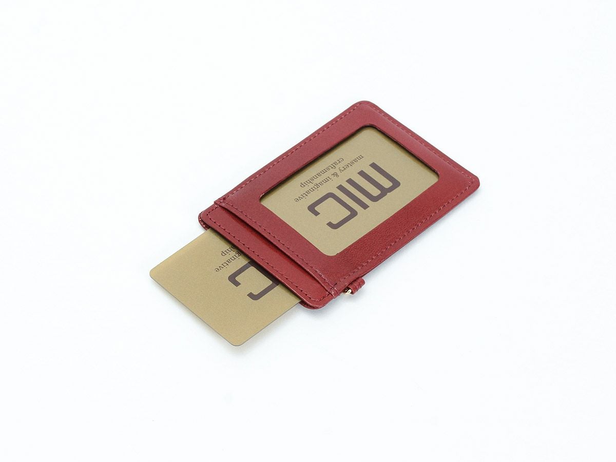 アリアナ単パス入れ